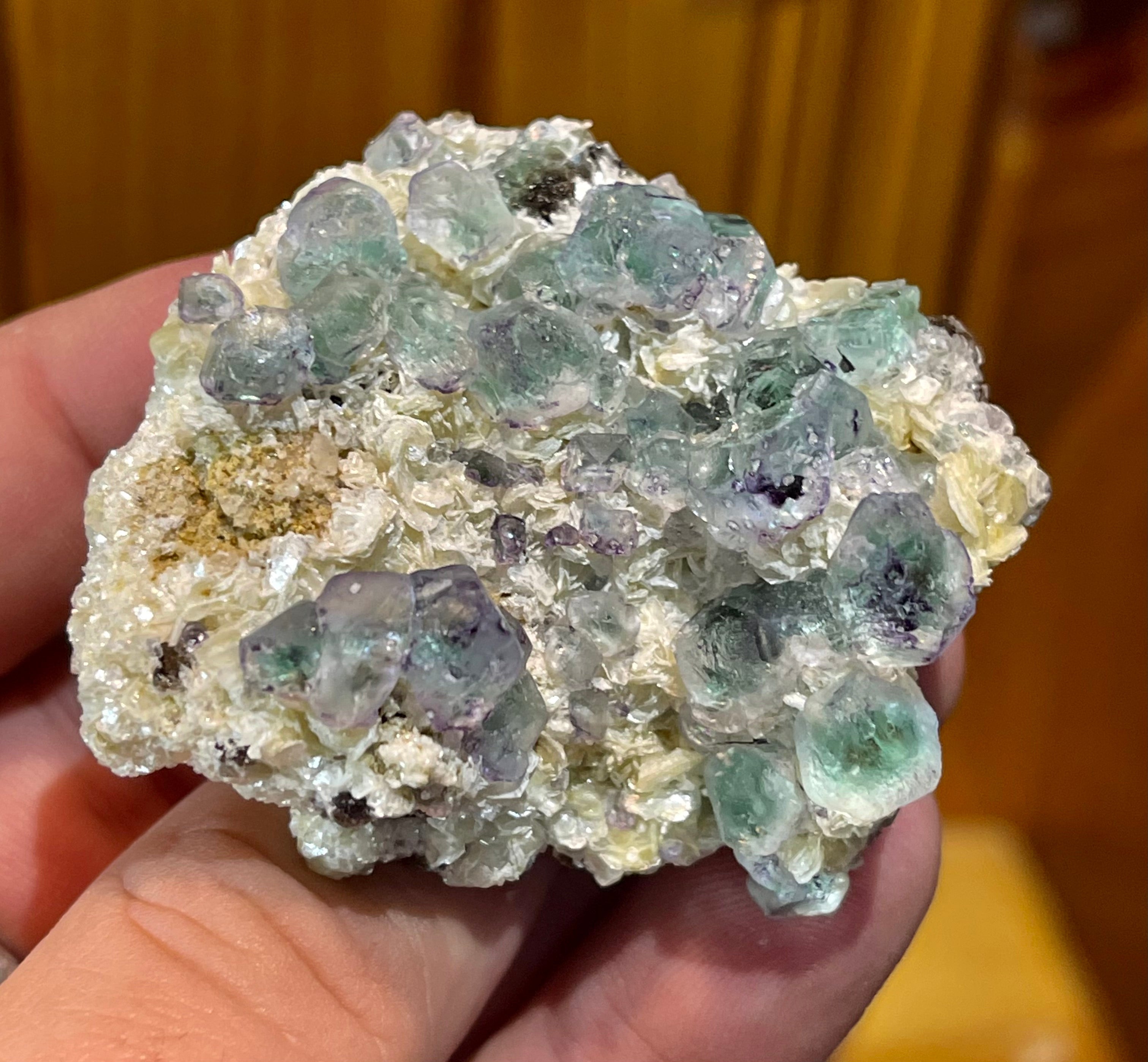 Bi Color Fluorite on yellow Muscovite MMM